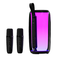  Newmine/纽曼 自带声卡 无线蓝牙音箱K歌麦克风音响套装+双话筒