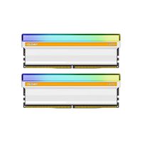 GLOWAY 光威 神策RGB系列 DDR5 6400MHz RGB 台式机内存 灯条 皓月白 64GB 32GBx2 海力士A-die CL32