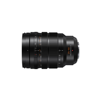 Panasonic/松下 恒定F1.7大光圈 M43微单/单电镜头