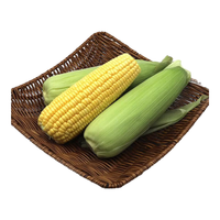 宝菜玉米新鲜黄甜玉米带皮水果玉米棒低脂减肥早餐 整箱 5斤（约5-8根）