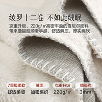 百丽丝 A类加厚雪尼尔毛毯