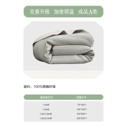 百丽丝 A类加厚雪尼尔午休毛毯  70cm×100cm