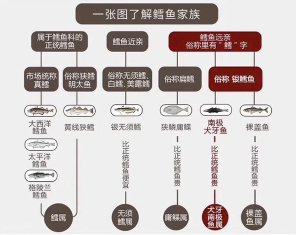禧美海产 太平洋鳕鱼切块 200g（长尾鳕）去皮去刺5-7块