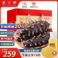参王朝 大连冷冻即食辽刺参 500g 10-12头 7A级