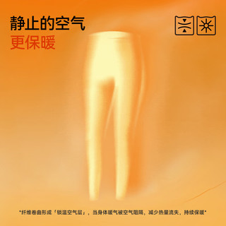  COSMO LADY/都市丽人 抗菌防静电 男士保暖裤  2XL （140-160斤）