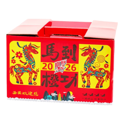 冰峰 新年礼盒装 汽水风味饮料  新年礼盒混合16罐
