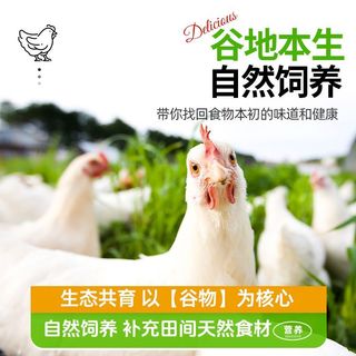  DOYOO/大用 去皮去骨 鸡腿肉丁