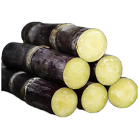  Mr.Seafood/京鲜生 脆甜多汁 黑皮甘蔗