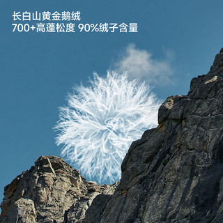 喜马拉雅雨崩鹅绒服700蓬90绒-25°C徒步穿越抗寒保暖防风鹅绒服秋冬外套 草木绿 700蓬90鹅绒-25°C 3XL 充绒量322g