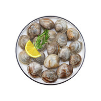 鲜京采 鲜活美贝 5斤（17-22粒/斤）