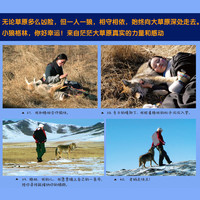  让我陪你重返狼群+千里寻你重返狼群全套2册李微漪中国儿童文学小说 9-12-14岁小课外阅读书籍狼图腾姜戎同名电影小说图书籍