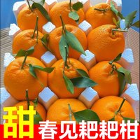 四川特级春见耙耙柑粑粑柑10斤橘子甜当季整箱新鲜水果丑柑桔 9斤 巨无霸