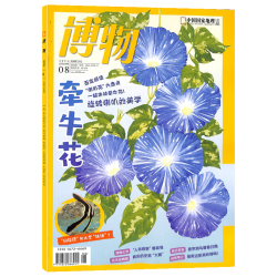 《博物杂志》（2024年10月刊）