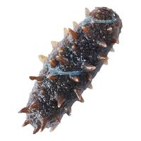 典品堂 即食海参500g 20-24只 1斤