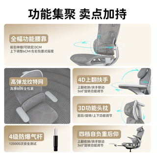  ENOVA 撑腰 人体工学椅  【PRO版】月牙灰