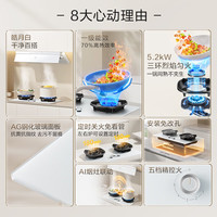 华帝（VATTI） 华帝（VATTI）小飞碟Max家用大火力燃气灶具 天然气台嵌两用5.2kW煤气灶双灶台i10308G 天然气12T 308W