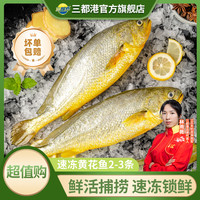 移动专享、移动端：三都港 宁德速冻黄花鱼 2-3条