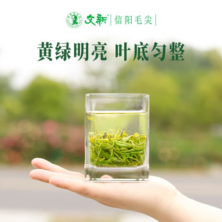  文新 新茶 信阳毛尖