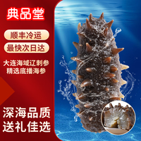 典品堂 大连底播即食海参 500g 20-24只