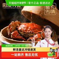 88VIP：阳澄有礼 江苏苏州大闸蟹礼盒装 250g