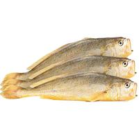 闽峡 宁德海捕大黄鱼 300g~350g/条 4只/箱 冷冻