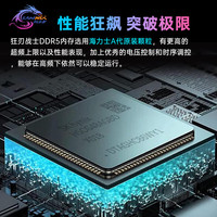 SAMNIX 狂刃战士 海力士A代M代DDR5 16G 6000 6400 电竞超频内存 16GB(8G*2)6000 C28 黑色