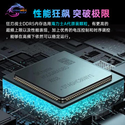 SAMNIX 狂刃战士 海力士A代M代DDR5 台式机内存条
