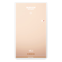GLEMOS 格林姆斯 W11-55F 即热式电热水器 20L 5500W 金色