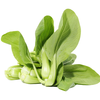 密水农家密云农业 本地自种油菜 300g 新鲜时令蔬菜 小油菜