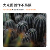 SGIMAGE深光25mm F1.8人文扫街定焦微单镜头挂机国产半画幅小巧便携手动对焦镜头 佳能EF-M卡口 标配+【uv镜+全身坤热靴盖】
