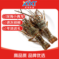 移动端、京东百亿补贴：虾有虾途 小青龙鲜活冷冻大龙虾 150g-200g/只