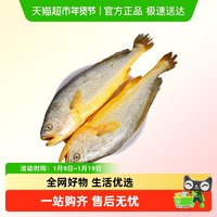 88VIP：海仙部落 国产黄花鱼 500g 冷冻