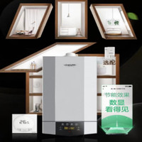  A.O.SMITH/史密斯 LL1GBQ24-V10 壁挂炉