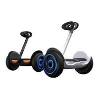 Ninebot 九号 L6 平衡车