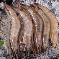 【空运】新疆盐田大虾本地养殖大虾冷冻品新鲜冷冻海鲜30-40