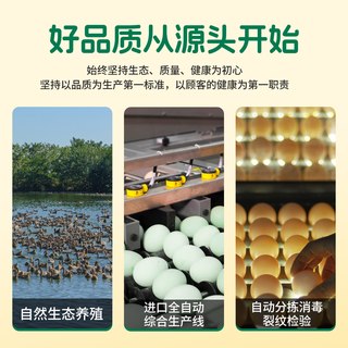 无铅工艺松花蛋大个溏心鸭蛋皮蛋即食颗颗溏心变蛋不麻不涩