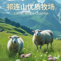 祁连天宝甘肃羔羊半只羊散养原切羊排羊腿羊蝎子生鲜年货羊肉礼盒 0g