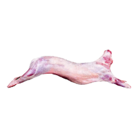  希诱 新鲜现杀 新疆羊肉
