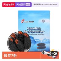 OCEAN FEAST 加拿大 野生海参干货 50g袋装