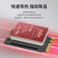 独家M.2 WIFI接口PCIe协议 NVMe 256G 512G 1T 全闪NAS 适用飞牛FNOS系统盘