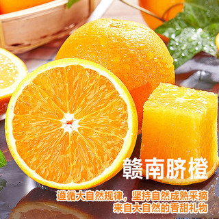 薏品甄鲜赣南脐橙 江西赣州老树果 薄皮无渣甜橙当季新鲜水果 70-80mm 净重9斤装