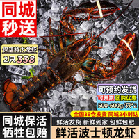 海仙津 波士顿龙虾 500-600g*2只 鲜活虾类礼盒