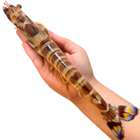 鲜喜利舟山九节虾基围虾海鲜黑虎虾鲜活超大竹节虾水产速冻斑节虾海虾 1000g(净重)  13-16cm 【14-18头/斤】