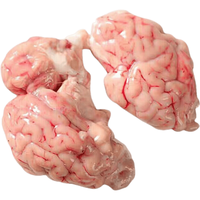 伯贤 新鲜羊脑山羊羊脑花单脑对脑 羊脑2斤