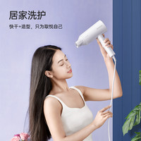 FLYCO/飞科 FH6276 负离子护发 电吹风 集风嘴