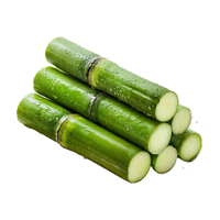 京鲜生 陶山甘蔗果段无节装 净重4.5斤新年水果源头直发 【果断无节】4.5斤装