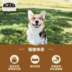 ACANA 爱肯拿 狗粮幼犬成犬经典鸡肉犬粮10.2kg
