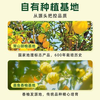 悦享客贡菊双柚汁鲜榨柚子汁小瓶果味饮料香柚胡柚果汁0脂肪饮品 【贡菊双柚汁】230ml*8瓶
