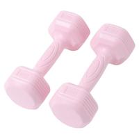 哑铃女士家用女生瘦肚子力量锻炼2kg一对儿童器材小哑铃