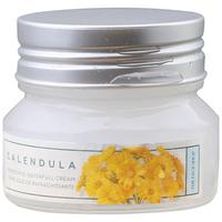  THE FACE SHOP/菲诗小铺 补水 面霜  50g/mL